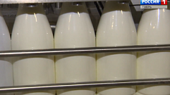 Под Торопцем школьникам давали фальсификат молока