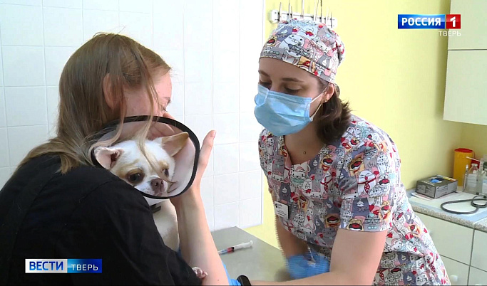 В Тверской области отмечают День ветеринарного работника