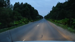 Водителей предупредили о косуле на дороге в Тверской области