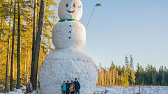 Жители Тверской области слепили 12-метрового снеговика