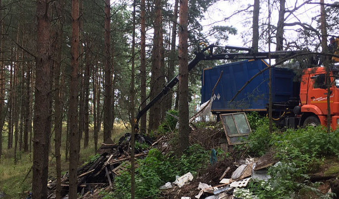 В Конаковском районе для ликвидации свалки потребовался ломовоз