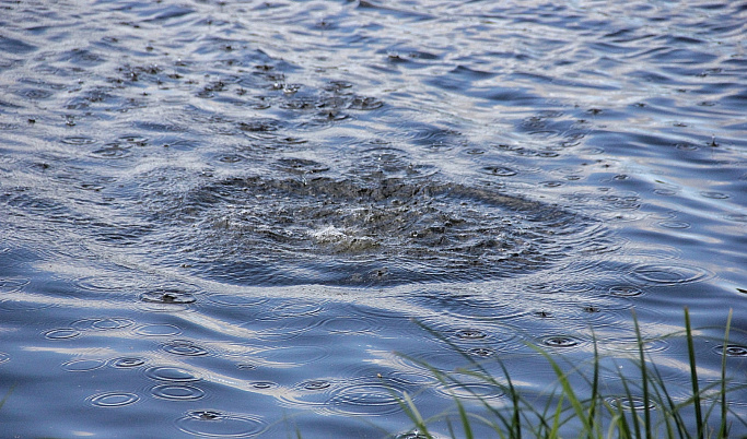 СКР выясняет обстоятельства гибели мужчины в озере в Тверской области