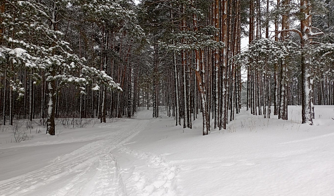 В Тверской области к выходным похолодает до -17 градусов