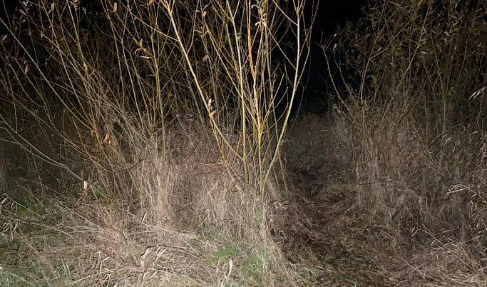 В Тверской области в реке Молога обнаружили тело 41-летнего мужчины