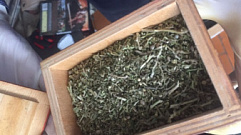 У жителя Ржева нашли полкилограмма марихуаны