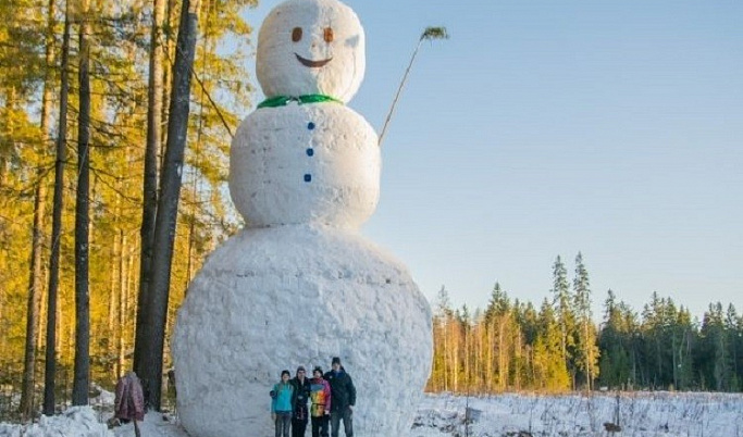 Жители Тверской области слепили 12-метрового снеговика