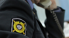 Полицейские задержали в Тверской области двух дачных воров