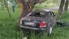 В Тверской области водитель не справился с управлением и протаранил дерево