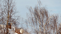 Сильный ветер обещают жителям Тверской области 22 января