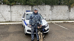 В Тверской области благодаря служебной собаке задержали 20-летнего вора телефона