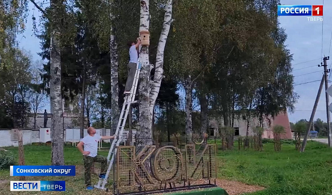 В Сонковском округе жители села Кой мастерят скворечники для аистов и скворцов