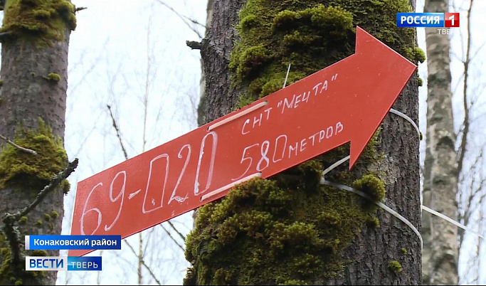 Волонтеры оставляют в лесах Тверской области ориентиры для грибников