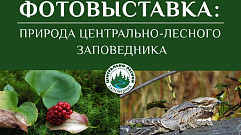 Тверитян приглашают на фотовыставку «Природа Центрально-лесного заповедника»