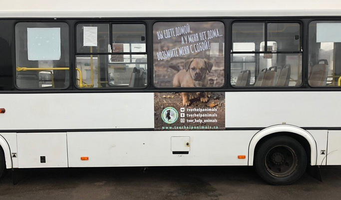 Социальная реклама в защиту животных появилась на тверских маршрутках