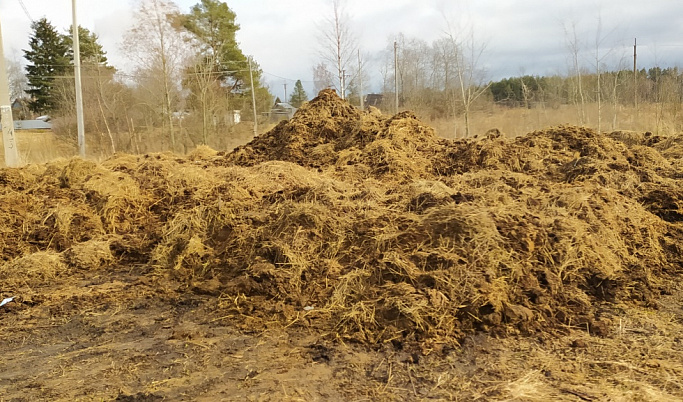 Фермеру Тверской области выписали штраф за сброс отходов в городе