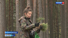 «Лес сажать, Родину любить»: в Тверской области проходит акция «Сад памяти»