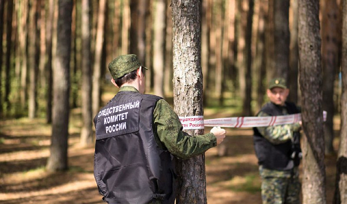 В Тверской области осудили лесоруба, убившего своего коллегу