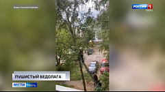 Происшествия в Тверской области | 8 сентября | Видео