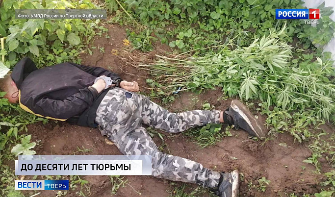 Происшествия в Тверской области 22 июля | Видео