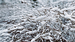 В ночь на 9 ноября в Тверской области может пойти снег