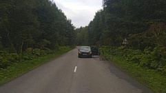 В Тверской области иномарка сбила несовершеннолетнюю велосипедистку 