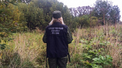 Грибники обнаружили в лесу Ржевского района тело мужчины