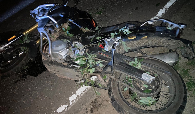 В Тверской области при столкновении с лосем погиб мотоциклист