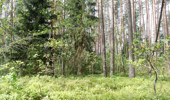 В Тверской области утверждены границы ещё 8 особо охраняемых природных территорий
