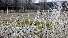 Ночные заморозки до -5 прогнозируют в Тверской области