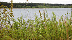 На водохранилище в Тверской области утонул 26-летний мужчина