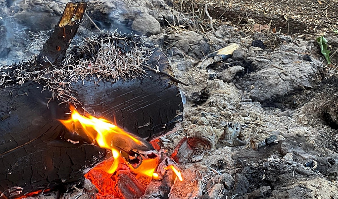 Под Кимрами 17 человек тушили пожар в лесу