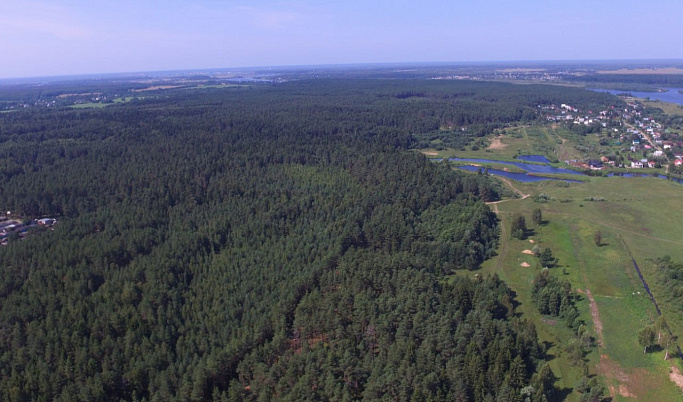 Площадь земель лесного фонда в Тверской области в 2022 году увеличилась до 5 млн га 