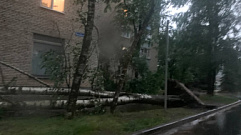 Ливни и сильный ветер: на Тверскую область обрушилась стихия