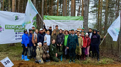 В рамках международной акции в Тверской области высадили 9,6 млн сеянцев и саженцев