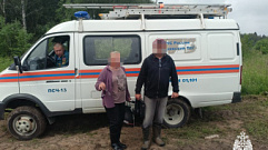 Два грибника потерялись в лесу Тверской области