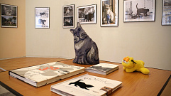 Тверитян ждут на выставках «Золотой поцелуй» и «Мартовские коты»