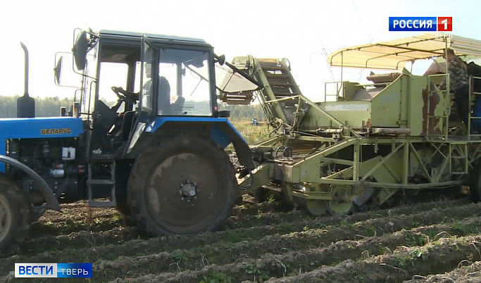 Сбор урожая в Тверской области подходит к завершению
