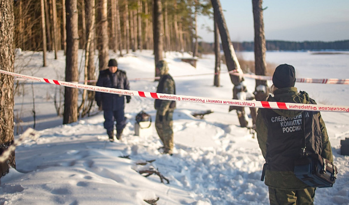 В Тверской области в лесном массиве нашли человеческие останки