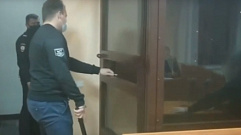Тверской суд арестовал подозреваемых в убийстве беременной лосихи