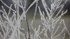 В Тверской области ожидаются ночные заморозки до -2 градусов и мокрый снег