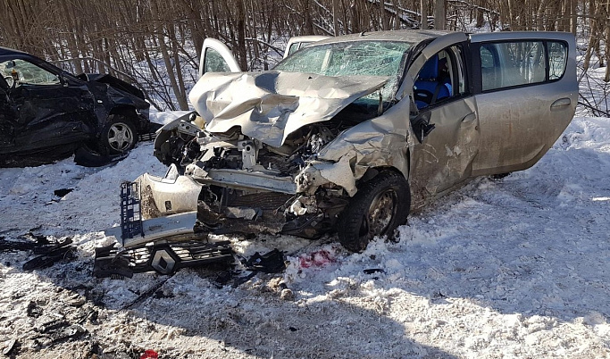 Два человека погибли в лобовом столкновении на дороге в Тверской области