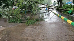 В Тверской области экстренно устраняют последствия шторма