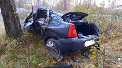 В Тверской области водитель врезался в дерево и получил перелом позвоночника