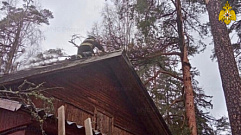 Из-за сильного ветра на дом в Тверской области упало дерево