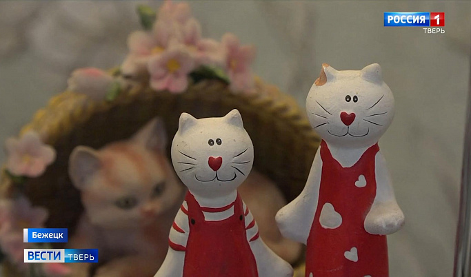 Жительница Бежецка собрала коллекцию из 400 фигурок кошек