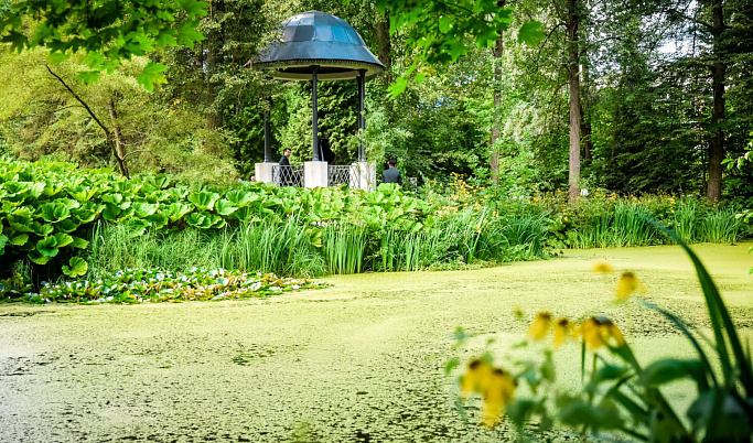 В Ботаническом саду Тверского госуниверситета прошло открытие восстановленной ротонды