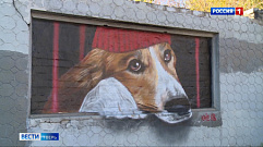 Секреты нового граффити с собакой в Твери 