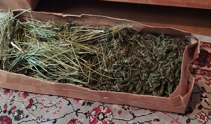 У жителя Тверской области дома нашли более 1 кг марихуаны