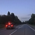Автомобилист сбил лося в Тверской области | Видео