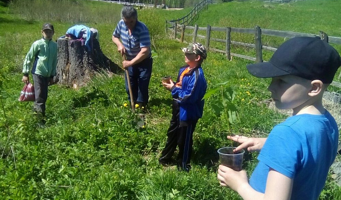 Школьники Пеновского района высадили дубовую рощу возле истока Волги